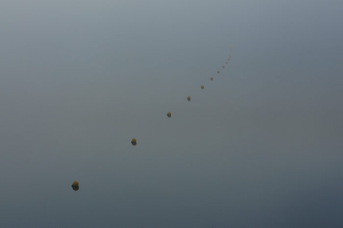 Floats In The Mist Lake Vyrnwy