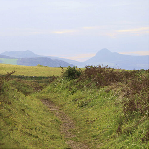 Footpath To St Davids