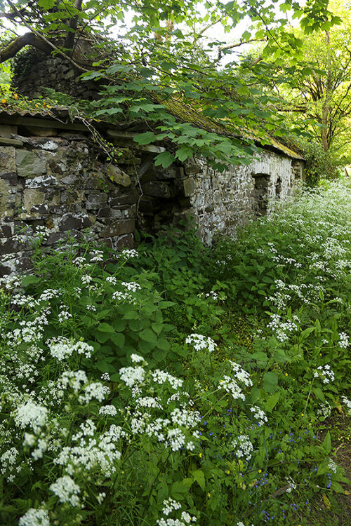 Hiraeth